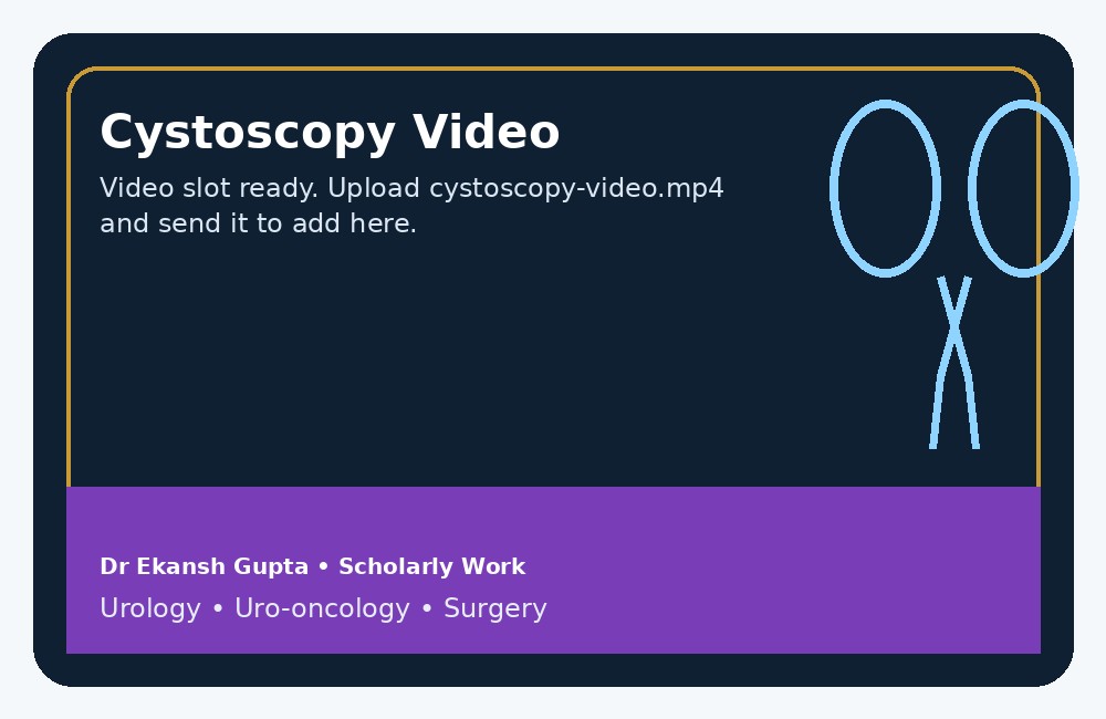Cystoscopy video slot